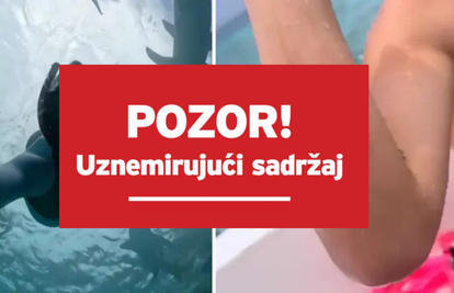 VIDEO Djevojku na Maldivima ugrizao morski pas, fanovi u šoku: 'Ma je li to Ela Jerković?'