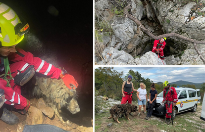 VIDEO Šarplaninac Jakov u 40 metara dubokoj jami preživio zbog smeća i klaoničkog otpada