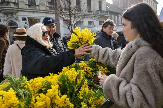 Zagreb: 19. Dan mimoza obilježen na Cvjetnom trgu