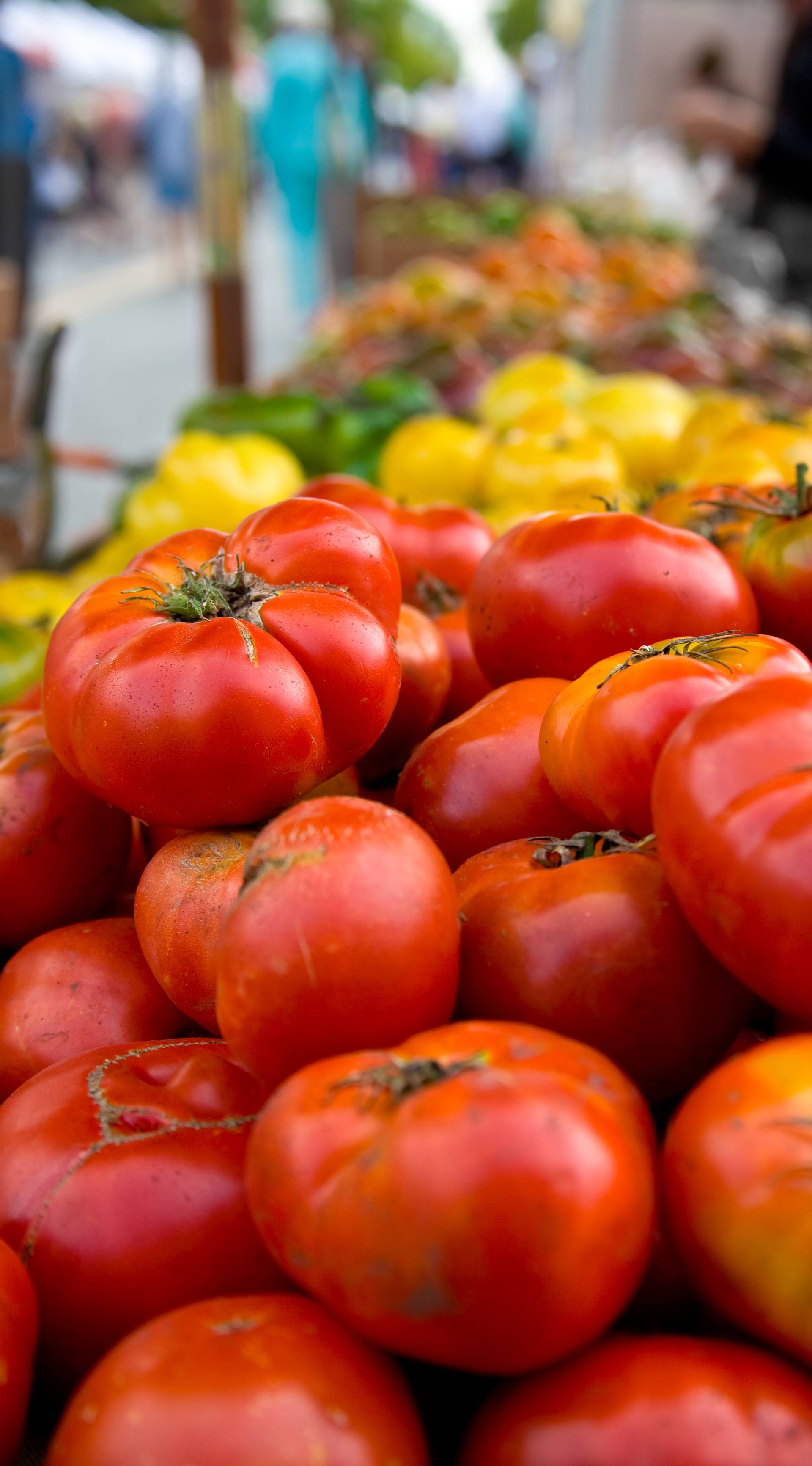 Domaće rajčice su konačno s naših tržnica istisnule uvozne