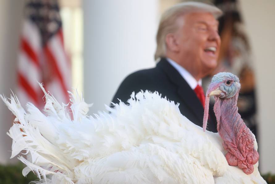 U.S. President Trump hosts presentation of 73rd National Thanksgiving Turkey at the White House