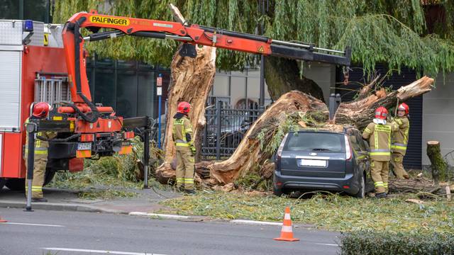 Firefighters remove a fallen tree after very strong winds in Zielona Gora