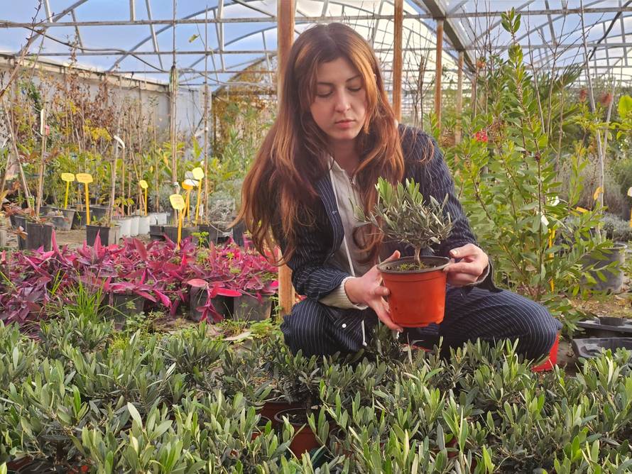 Mladi pokreću novi trend: Zašto opet svi sadimo?