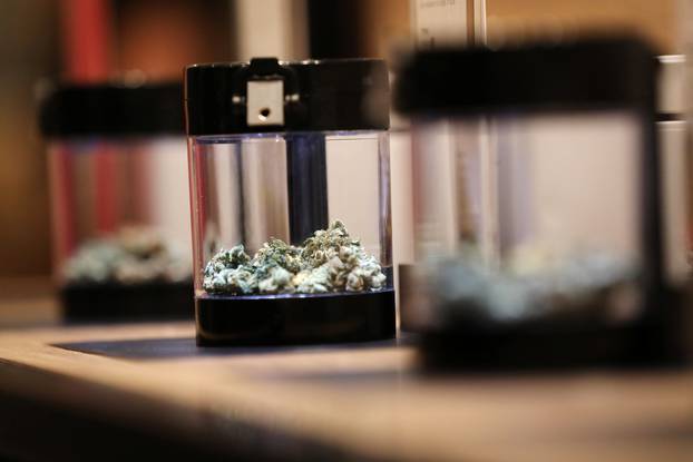 A customer looks at cannabis on display after legal recreational marijuana went on sale at a Tweed retail store in St John