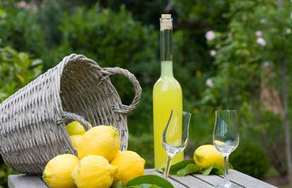 Limun može narasti čak i do šest metara: Odličan je za zdravlje