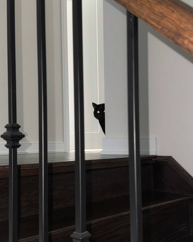 FOTO 'Imam toliko velike grudi da me svi mrze. Nisu umjetne!'