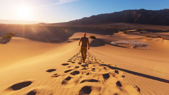 Kocka u pustinji: Riješite test i otkrijte svoje životne težnje