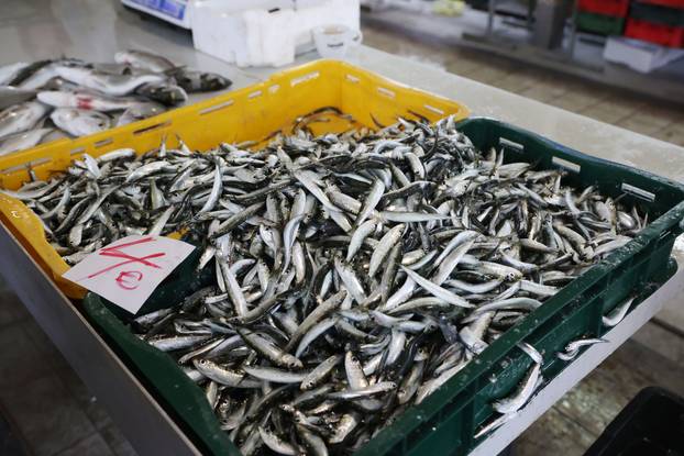 Šibenik: Ponuda na šibenskoj ribarnici