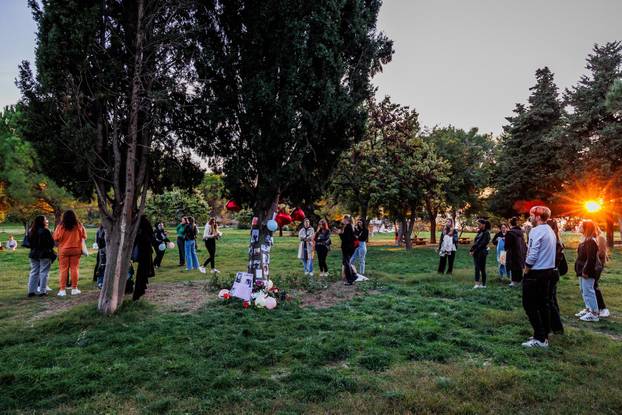 Split: Fanovi One Directiona održali memorijal u spomen na preminulog glazbenika Liama Paynea