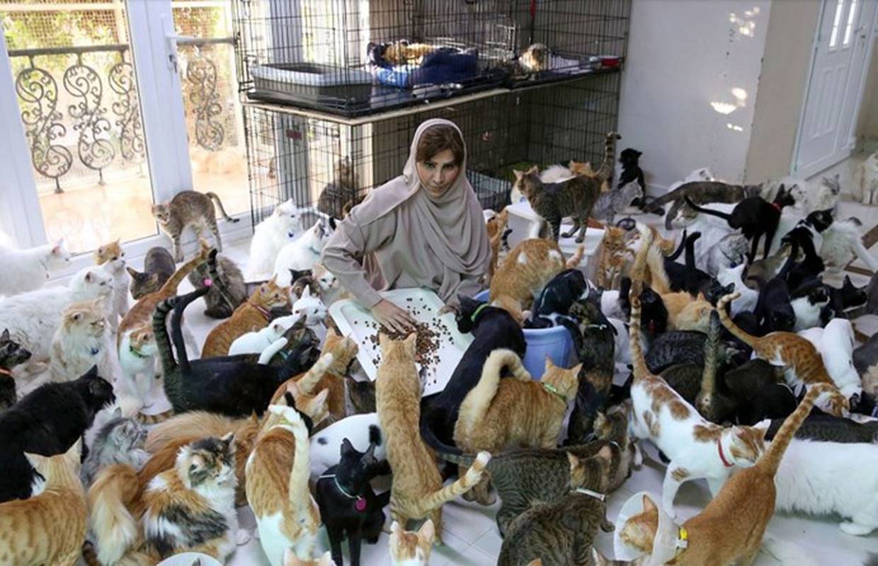 Živi s 12 pasa i čak 480 mačaka: 'Oni su pouzdaniji nego ljudi!'