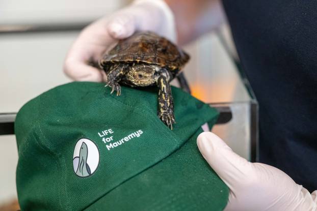 Zagreb: Obilježavanje 99. godišnjice osnutka Zoološkog vrta Grada Zagreba