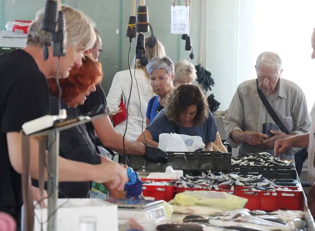 Šibenik: Ponuda ribe na ribarnici