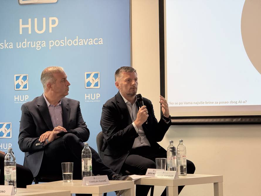 Većina domaćih poduzeća poznaje AI, ali se malo koristi. Država se mora više uključiti