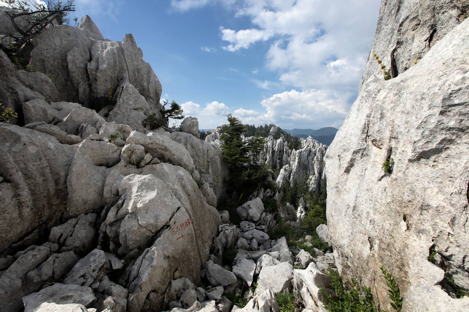 Bijele i Samarske stijene u Gorskom Kotaru