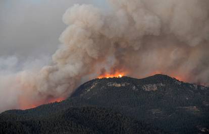 Španjolska: Požar uništio 4000 hektara šume, vatrogasci su spriječili da se ne proširi dalje