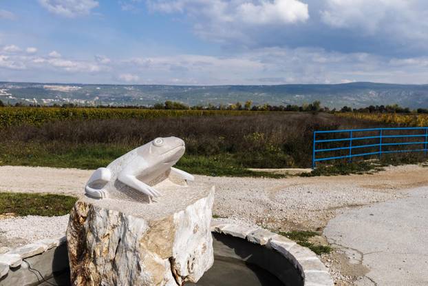 U Zmijavcima otkriven spomenik žabi