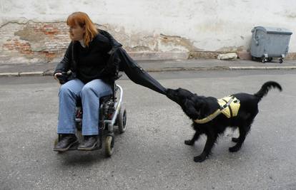 "Super pas" pomaže bolesnoj ženi da se odjene i radi po kući