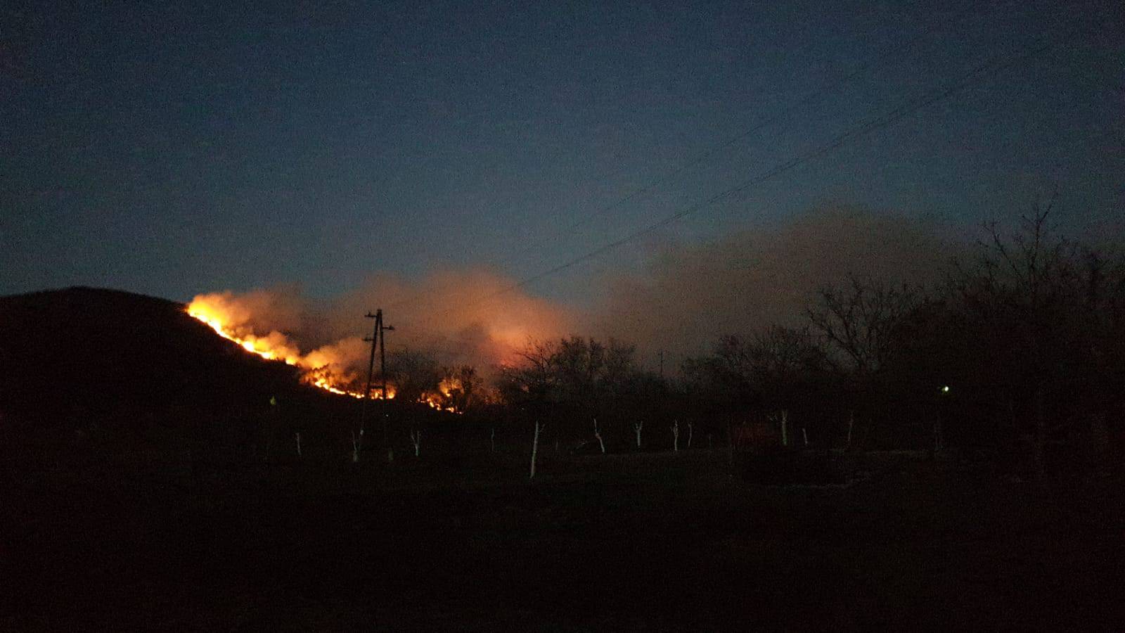 Sinj: Planula je gusta borova šuma, dim se proširio posvuda