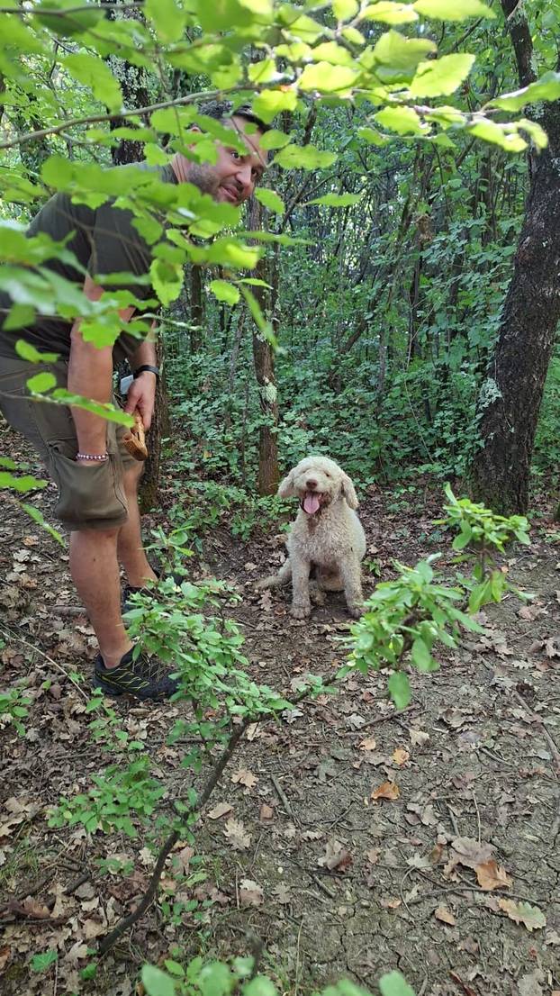 FOTO Pogledajte kako izgleda lov na tartufe u istarskoj šumi
