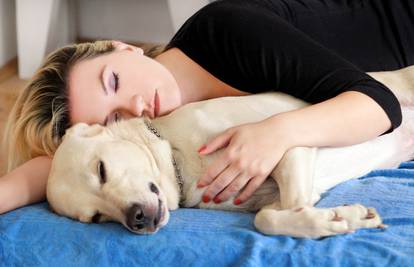 Činjenica: Tko spava sa svojim psom, taj se bolje i naspava
