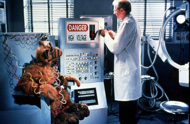 Alf - Der Film, Project Alf