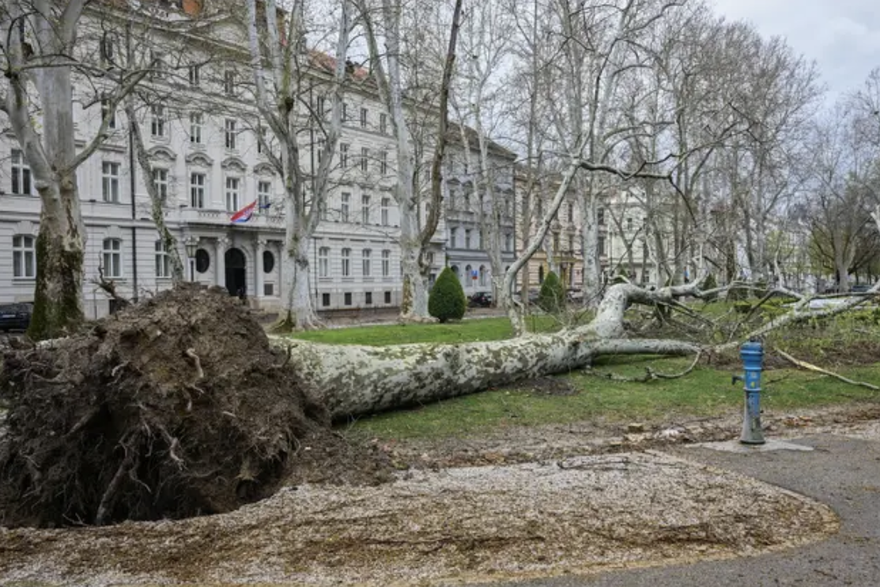 Oluja sru&scaron;ila platanu nakon 153 godine na Zrinjevcu. Stigla je iz Trsta kad je imala dvije godine