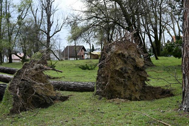 Zagreb: U nevremenu teško oštećeno gradsko groblje Mirogoj