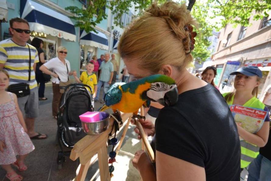 Duško Marušić/PIXSELL 