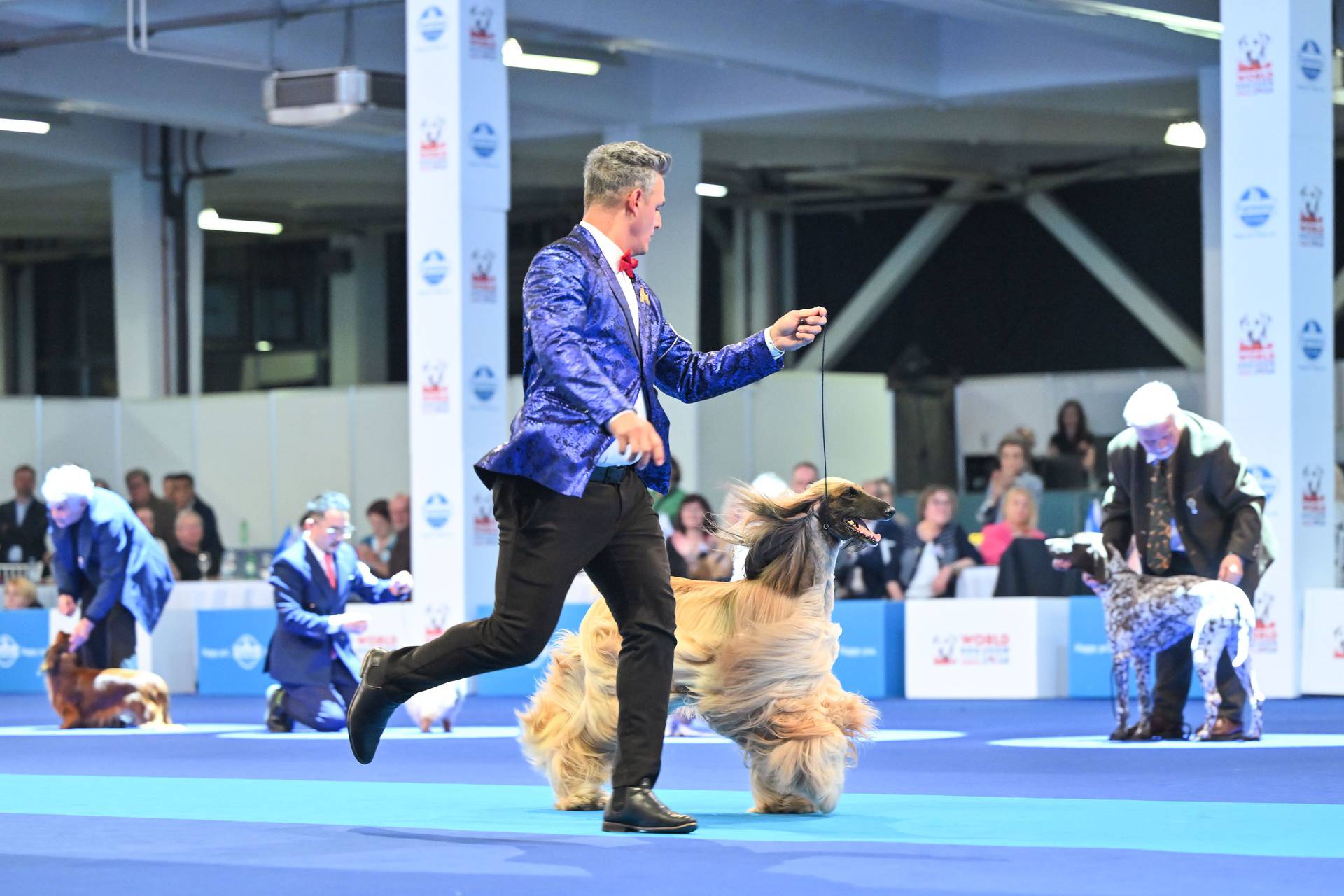 Atmosfera na posljednjem danu World Dog Showa na Zagrebackom Velesajmu