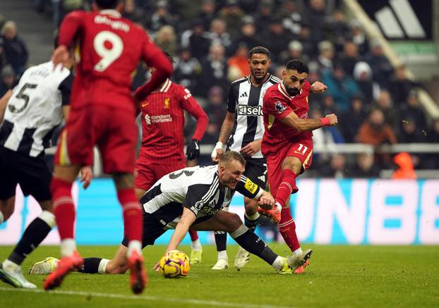 Newcastle United v Liverpool - Premier League - St. James' Park