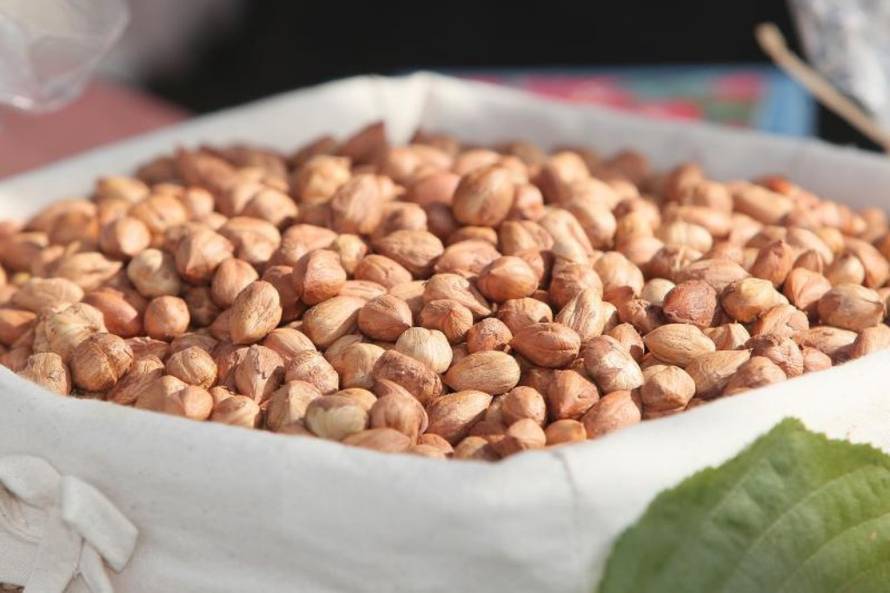 Marijan Sušenj/PIXSELL