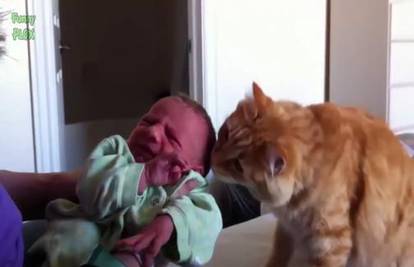Mačke prvi put upoznaju bebe! Kako je prošlo upoznavanje?