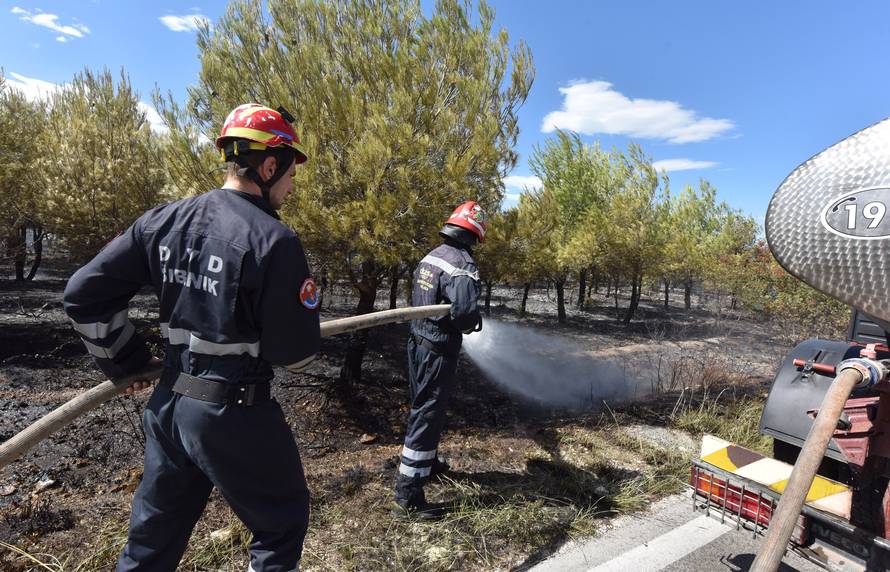 U Žaboriću gori borova šuma, vatrena stihija prijeti kućama