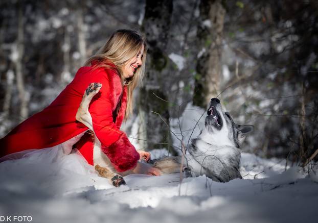 GALERIJA Nastali su od vukova, rođaci su Nazgula s Olimpijskih igara i žive kraj Velike Gorice!