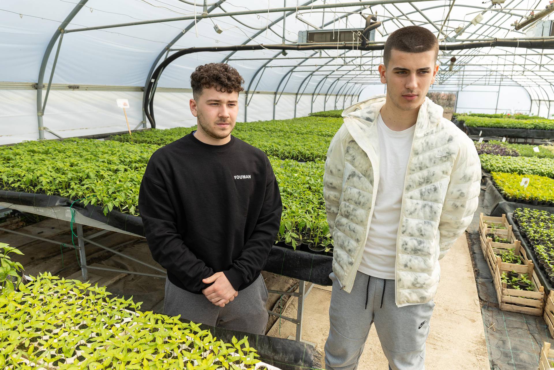 Osijek: Učenici Poljoprivredne škole samostalno uzgajaju sadnice