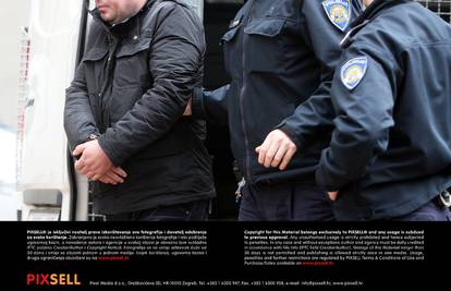 Vještak: Pejić je zadnji držao dasku kojom je zatučen Dalk