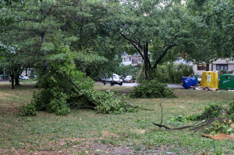 Zagreb: Vatrogasci uklanjaju stablo koje je palo u Ulici Svetog Mateja