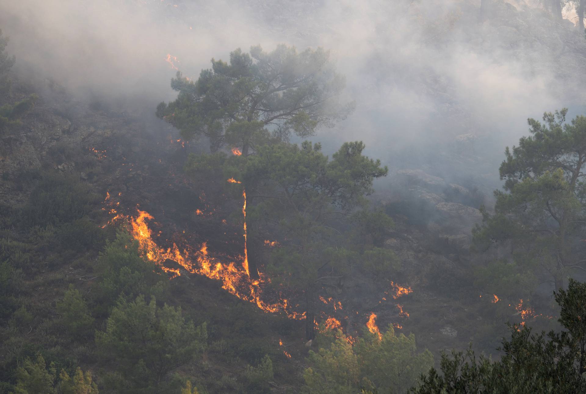 Wildfire burns in a forest near Lardos