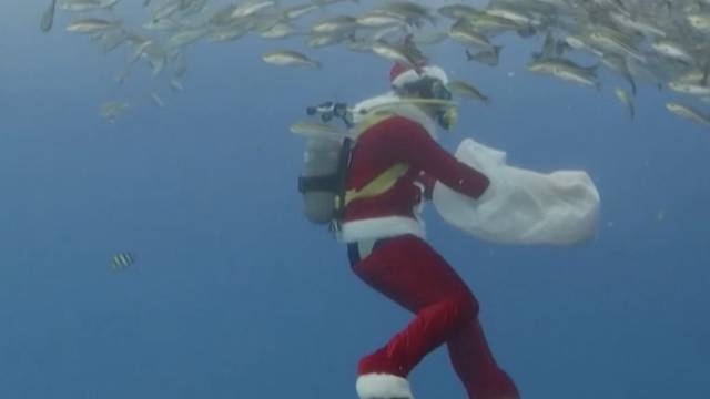 Djed Božićnjak roni u akvariju: Plivao je s 3000 riba i dupina, a posjetitelji su bili oduševljeni...