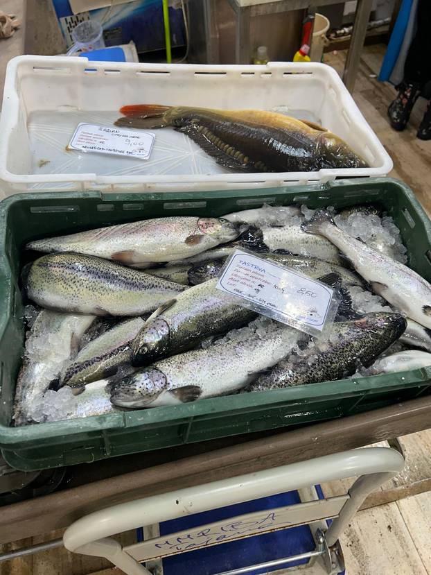 FOTO Građani šokirani! Za kilu janjetine 20 eura, rajčice po 7, a orada na Dolcu čak 28 eura