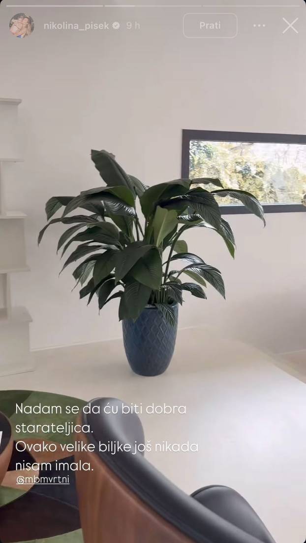 FOTO Zavirite u novoopremljenu kuću Nikoline Pišek! Na zidu su postavljene zanimljive slike...