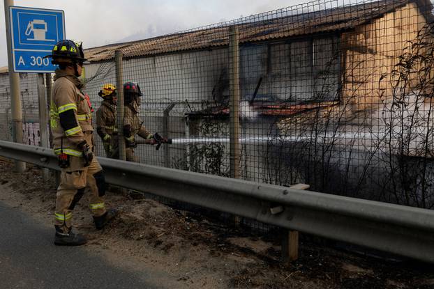 Raging forest fires turn deadly in Chile