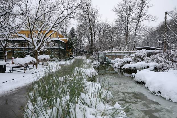 Zagreb: Snježno prijepodne u zoološkom vrtu