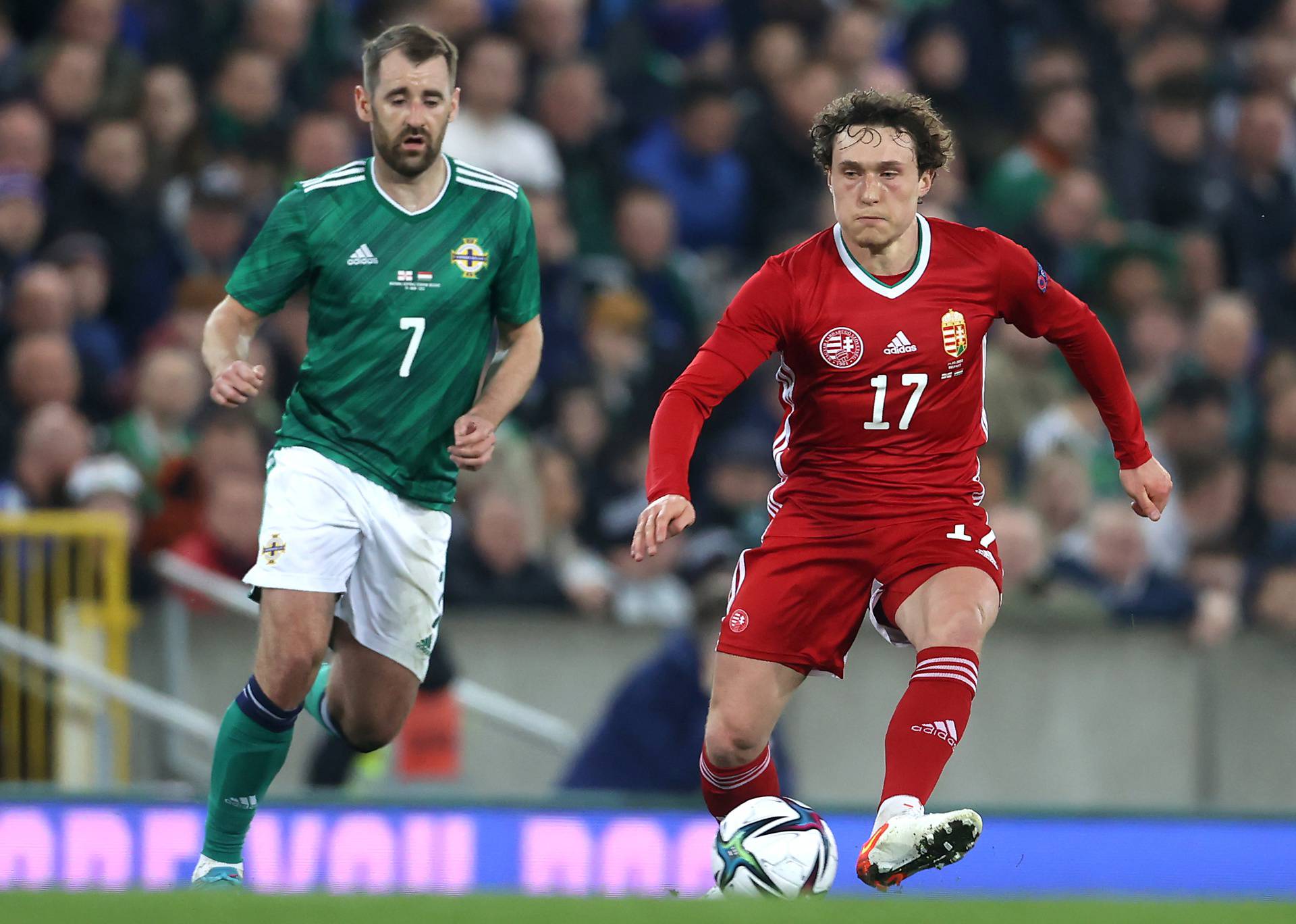 Northern Ireland v Hungary - International Friendly - Windsor Park