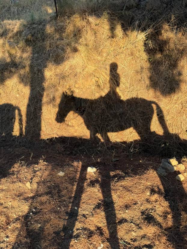 FOTO Ova Ukrajinka je kraljica seksepila: Odjeću slabo nosi zimi, a pogotovo ljeti...