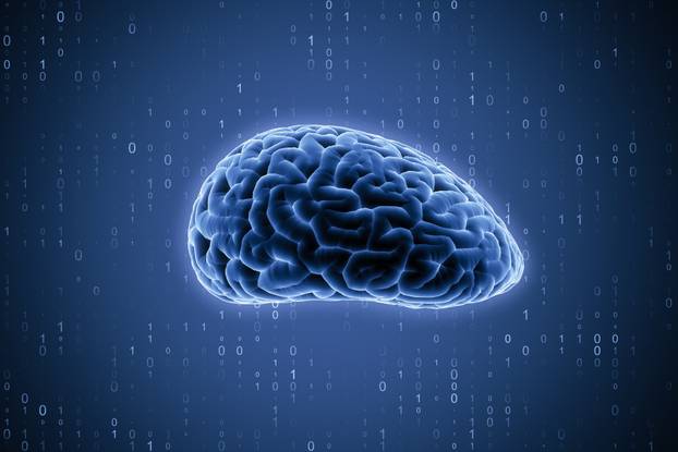 Science, research and technology digital interface concept with blue human brain layout on dark background with binary code. 3D rendering