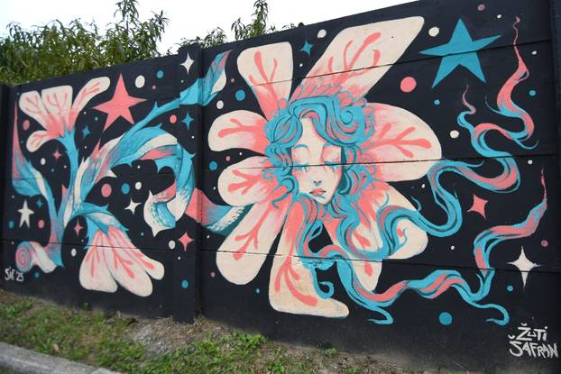 Koprivnica: Gradske površine obogaćene su novim muralima nakon Street Art Festivala