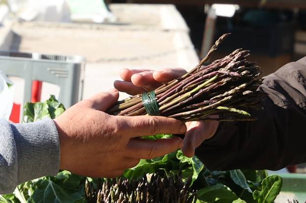 Šibenik: Ponuda šparoga na šibenskoj tržnici