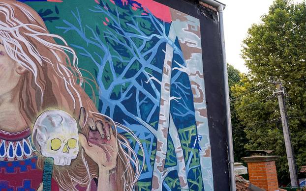 FOTO Grad pretvoren u galeriju: Pogledajte predivne murale na kućama i zgradama u Čačku