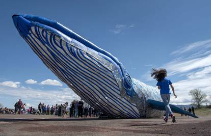 Od plastičnog otpada umjetnici napravili skulpturu plavog kita